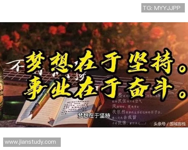 王强的羽毛球人生深度对话探索运动背后的坚持与梦想